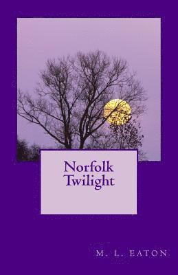 bokomslag Norfolk Twilight: A Tale of Mystery and Imagination