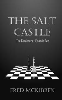 bokomslag The Salt Castle