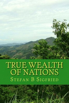 bokomslag True Wealth of Nations: A story of how money became dishonest money