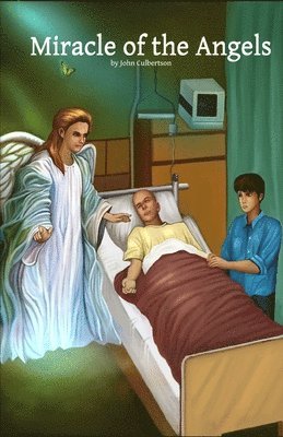 bokomslag Miracle of the Angels