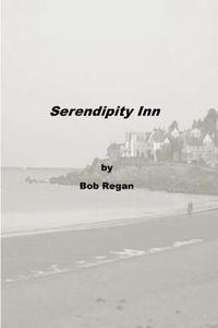 bokomslag Serendipity Inn