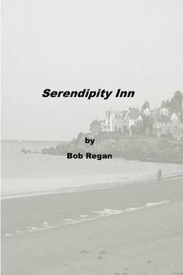 bokomslag Serendipity Inn