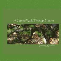 bokomslag A Gentle Walk Through Nature