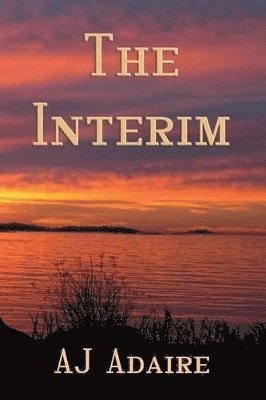 The Interim 1