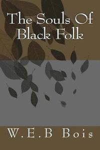 bokomslag The Souls Of Black Folk