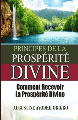 bokomslag principes de la PROSPERITE DIVINE