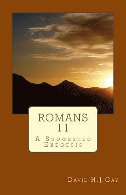 David H. J. Gay - Romans 11: A Suggested Exegesis, Häftad