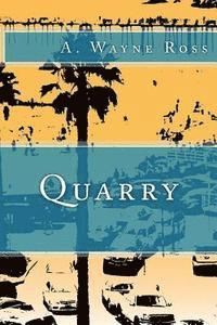 bokomslag Quarry