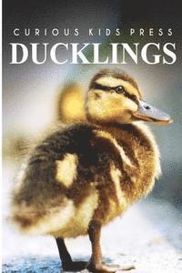 Curious Kids Press - Ducklings - Curious Kids Press: Kids book about animals and wildlife, Children's books 4-6, Häftad