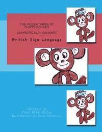 bokomslag The Adventures Of Fluffy Monkey: Numbers and Colours BSL