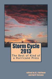 bokomslag Storm Cycle 2013