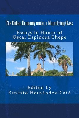 Ernesto Hernandez-Cata - The Cuban Economy under a Magnifying Glass: Essays in Honor of Oscar Espinosa Chepe, Häftad