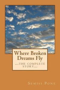 bokomslag Where Broken Dreams Fly: ...the complete story...