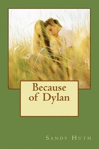 bokomslag Because of Dylan