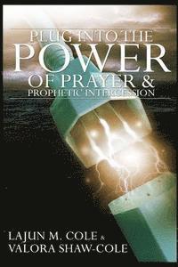 bokomslag Plug Into The Power of Prayer and Prophetic Intercession