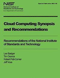 bokomslag Cloud Computing Synopsis and Recommendations