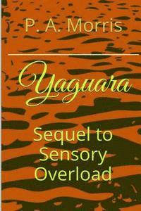 Yaguara: The Sequel to SENSORY OVERLOAD 1