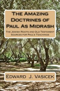 bokomslag The Amazing Doctrines of Paul As Midrash