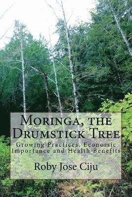 bokomslag Moringa, the Drumstick Tree