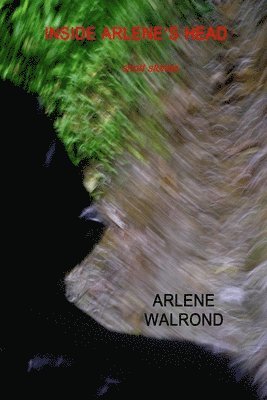 bokomslag Inside Arlene's Head: short stories