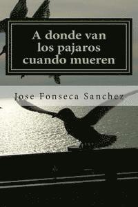 bokomslag A donde van los pajaros cuando mueren: Una historia de amor en el cielo