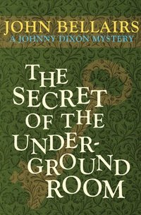 bokomslag The Secret of the Underground Room