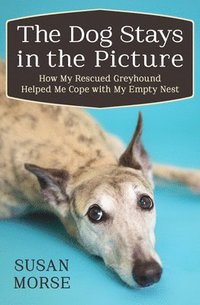 bokomslag The Dog Stays in the Picture: How My Rescued Greyhound Helped Me Cope with My Empty Nest