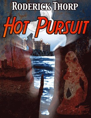 bokomslag Hot Pursuit