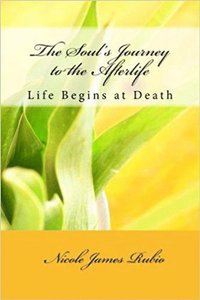 bokomslag The Soul's Journey to the Afterlife