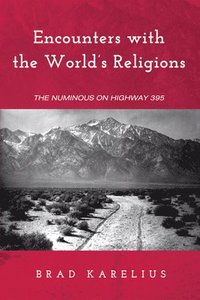 bokomslag Encounters with the World's Religions