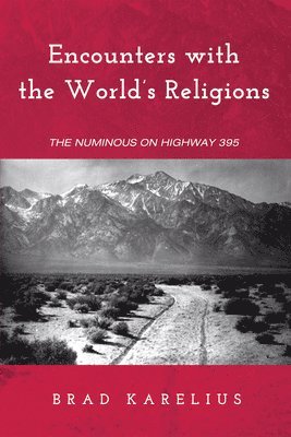 bokomslag Encounters with the World's Religions