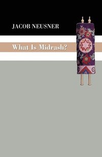 bokomslag What Is Midrash?
