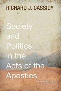 bokomslag Society and Politics in the Acts of the Apostles