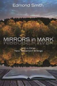 bokomslag Mirrors in Mark