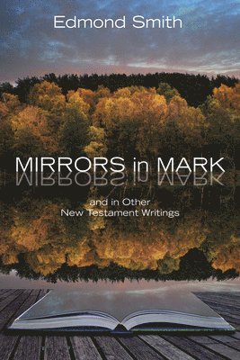 bokomslag Mirrors in Mark