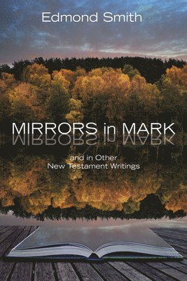 bokomslag Mirrors in Mark