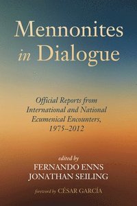 bokomslag Mennonites in Dialogue