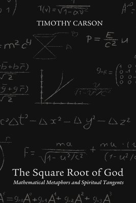 Timothy Carson - Square Root of God, Inbunden