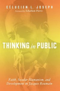 bokomslag Thinking in Public