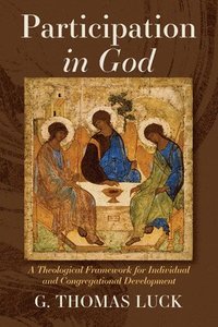 bokomslag Participation in God: A Theological Framework for Individual and Congregational Development