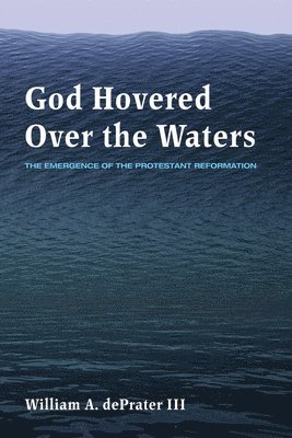 bokomslag God Hovered Over the Waters