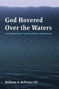 bokomslag God Hovered Over the Waters