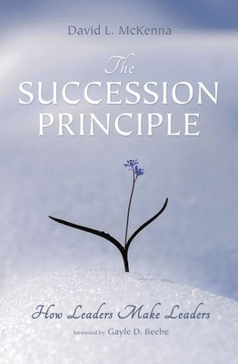David L McKenna - Succession Principle, Häftad