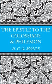 bokomslag The Epistles to the Colossians and Philemon