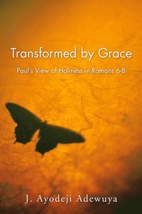bokomslag Transformed by Grace