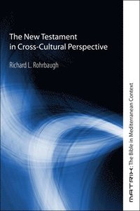 bokomslag The New Testament in Cross-Cultural Perspective