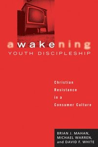 bokomslag Awakening Youth Discipleship