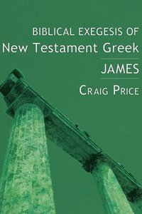 bokomslag Biblical Exegesis of New Testament Greek