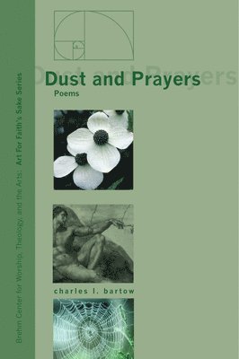 bokomslag Dust and Prayers