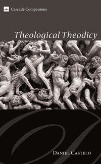 bokomslag Theological Theodicy